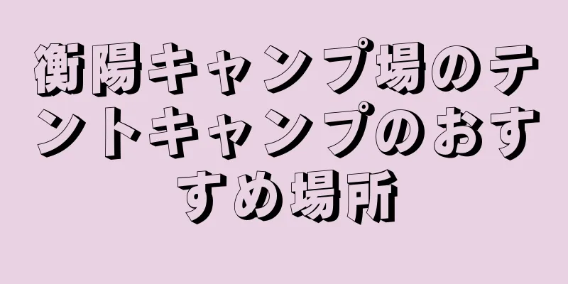衡陽キャンプ場のテントキャンプのおすすめ場所