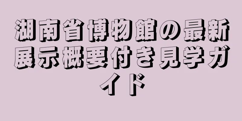 湖南省博物館の最新展示概要付き見学ガイド