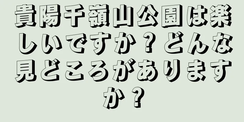 貴陽千嶺山公園は楽しいですか？どんな見どころがありますか？
