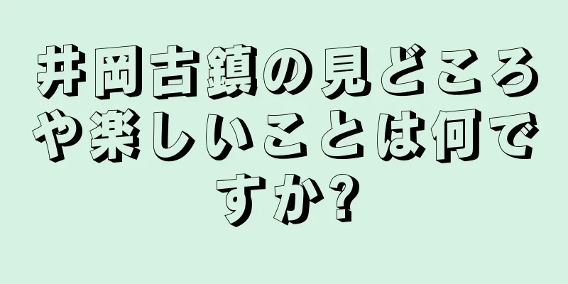 井岡古鎮の見どころや楽しいことは何ですか?