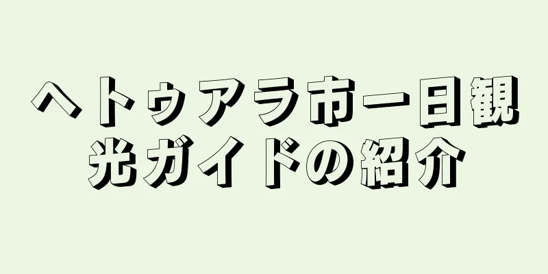 ヘトゥアラ市一日観光ガイドの紹介