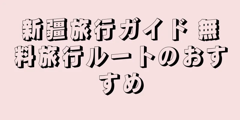 新疆旅行ガイド 無料旅行ルートのおすすめ