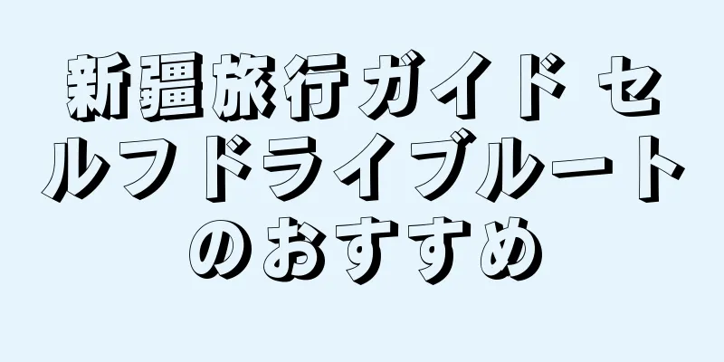 新疆旅行ガイド セルフドライブルートのおすすめ