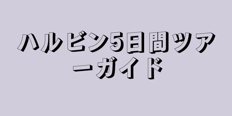 ハルビン5日間ツアーガイド