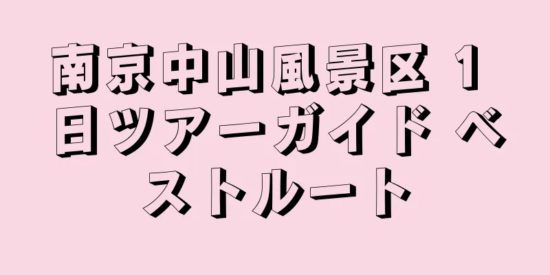 南京中山風景区 1 日ツアーガイド ベストルート