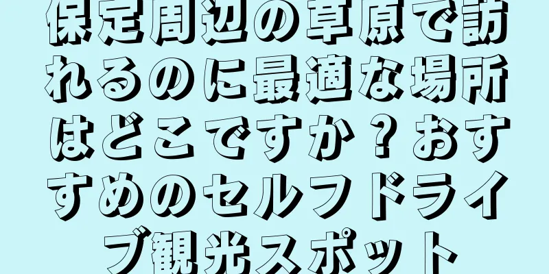 保定周辺の草原で訪れるのに最適な場所はどこですか？おすすめのセルフドライブ観光スポット