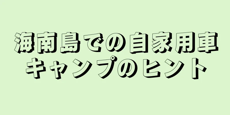 海南島での自家用車キャンプのヒント