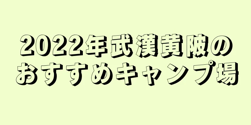 2022年武漢黄陂のおすすめキャンプ場