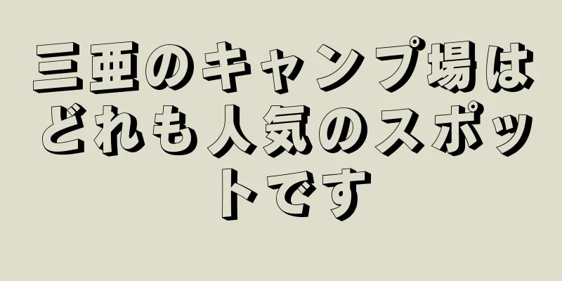 三亜のキャンプ場はどれも人気のスポットです