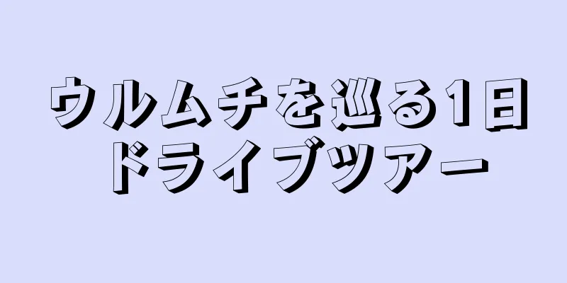 ウルムチを巡る1日ドライブツアー