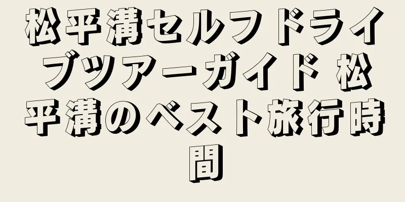 松平溝セルフドライブツアーガイド 松平溝のベスト旅行時間