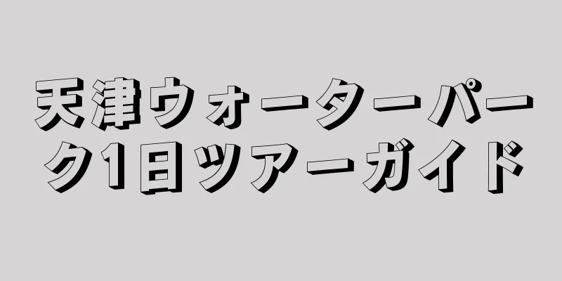 天津ウォーターパーク1日ツアーガイド