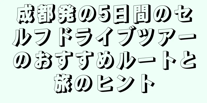 成都発の5日間のセルフドライブツアーのおすすめルートと旅のヒント