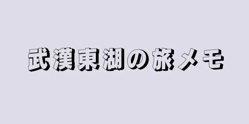 武漢東湖の旅メモ
