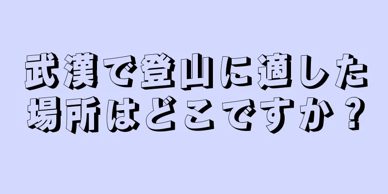 武漢で登山に適した場所はどこですか？