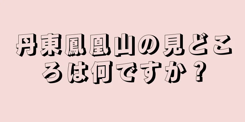 丹東鳳凰山の見どころは何ですか？