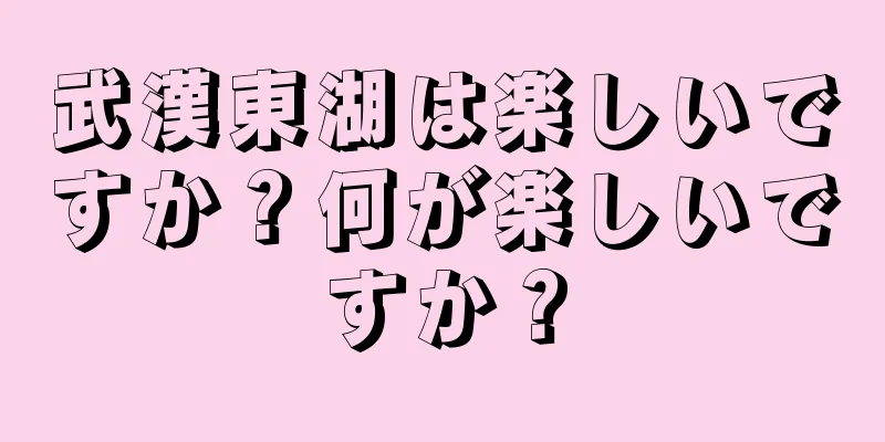 武漢東湖は楽しいですか？何が楽しいですか？
