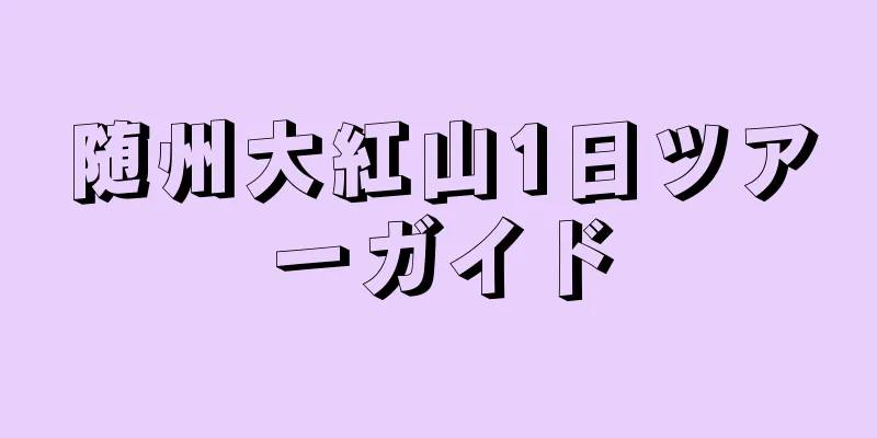 随州大紅山1日ツアーガイド