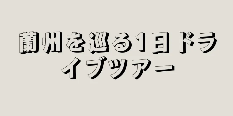 蘭州を巡る1日ドライブツアー