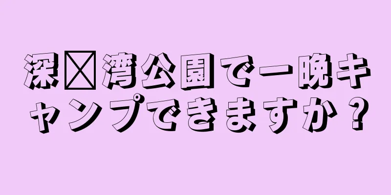 深圳湾公園で一晩キャンプできますか？