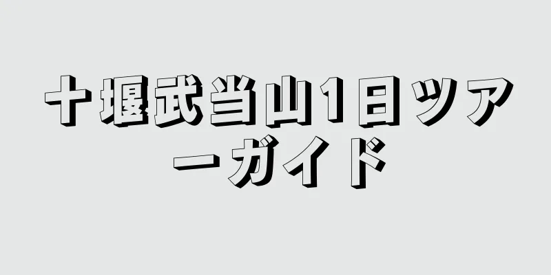 十堰武当山1日ツアーガイド
