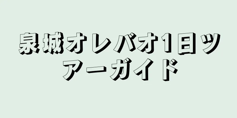 泉城オレバオ1日ツアーガイド