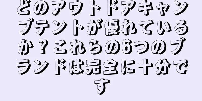 どのアウトドアキャンプテントが優れているか？これらの6つのブランドは完全に十分です