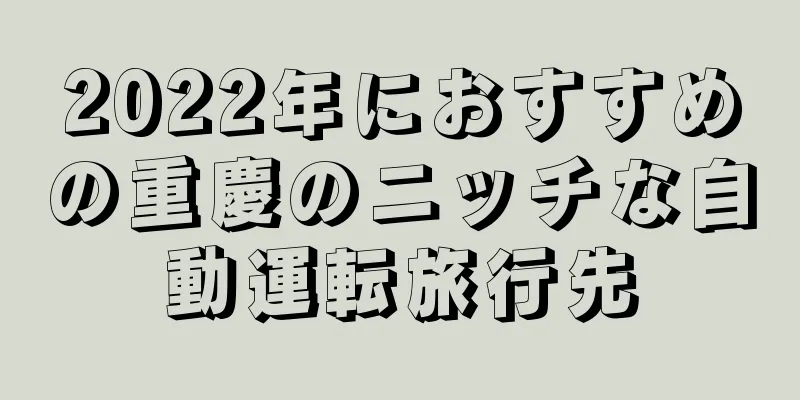 2022年におすすめの重慶のニッチな自動運転旅行先
