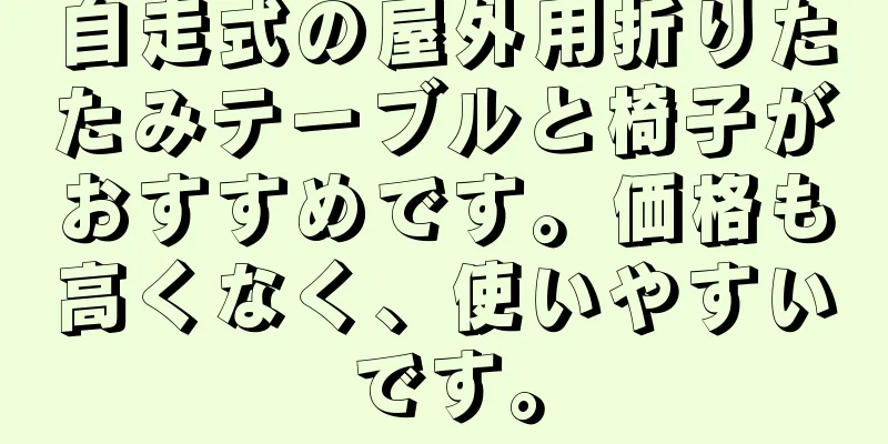 自走式の屋外用折りたたみテーブルと椅子がおすすめです。価格も高くなく、使いやすいです。