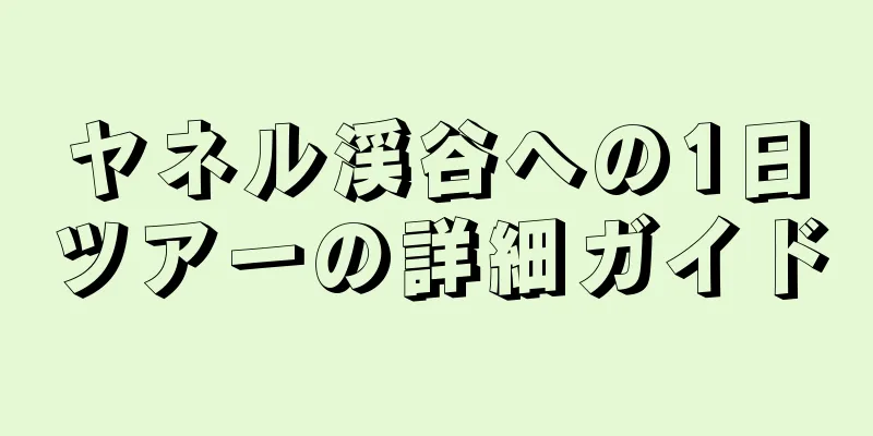 ヤネル渓谷への1日ツアーの詳細ガイド