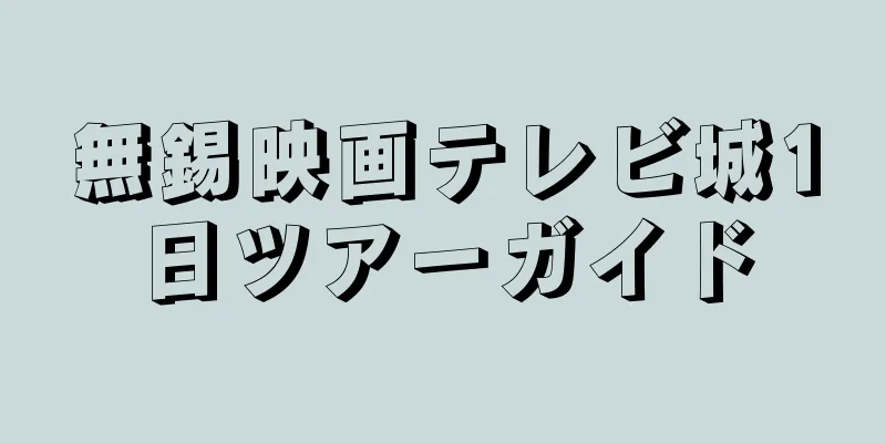 無錫映画テレビ城1日ツアーガイド