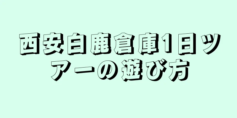 西安白鹿倉庫1日ツアーの遊び方