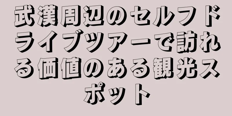 武漢周辺のセルフドライブツアーで訪れる価値のある観光スポット