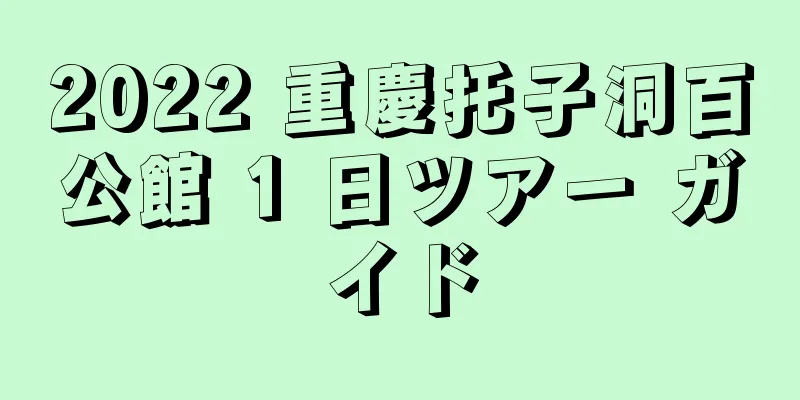 2022 重慶托子洞百公館 1 日ツアー ガイド