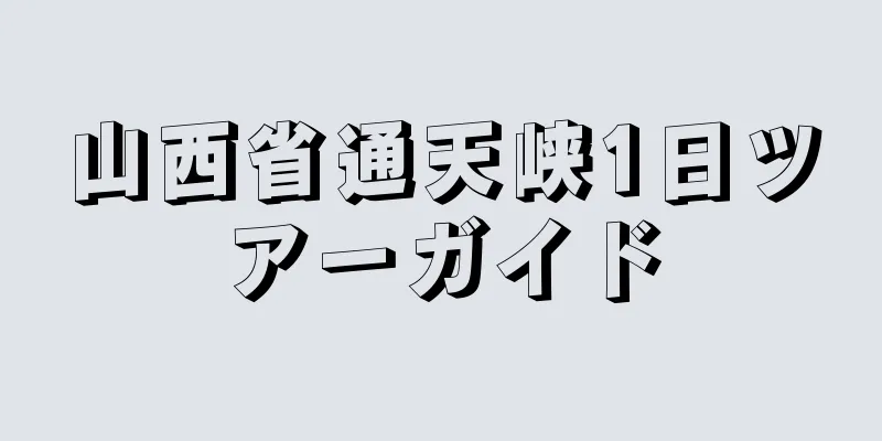 山西省通天峡1日ツアーガイド