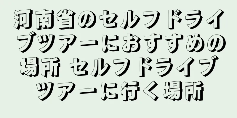 河南省のセルフドライブツアーにおすすめの場所 セルフドライブツアーに行く場所