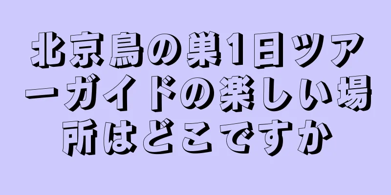 北京鳥の巣1日ツアーガイドの楽しい場所はどこですか