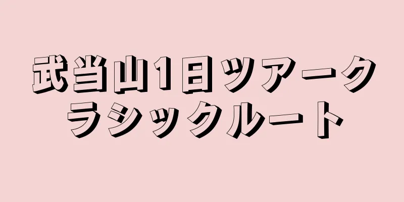 武当山1日ツアークラシックルート