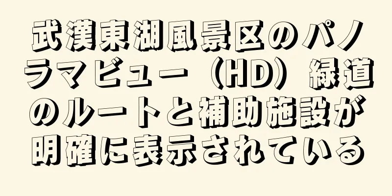 武漢東湖風景区のパノラマビュー（HD）緑道のルートと補助施設が明確に表示されている