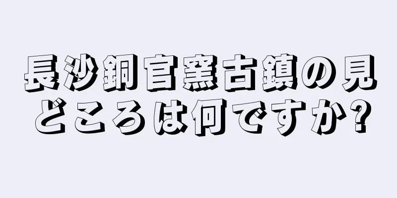長沙銅官窯古鎮の見どころは何ですか?