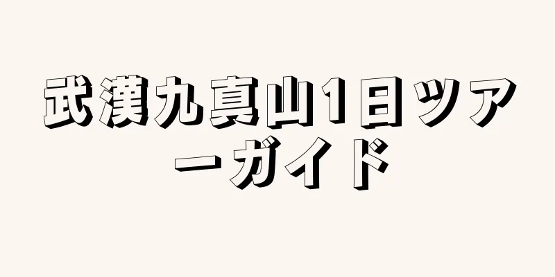 武漢九真山1日ツアーガイド