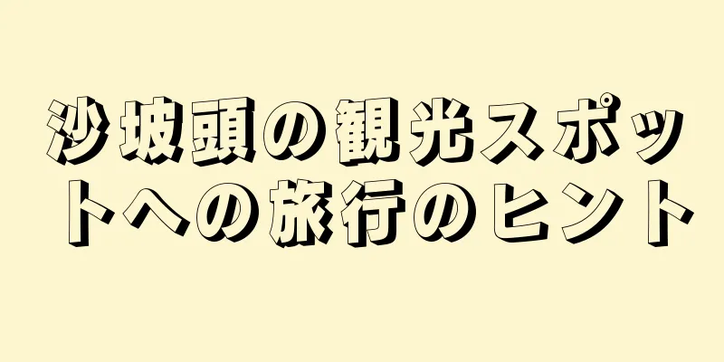 沙坡頭の観光スポットへの旅行のヒント