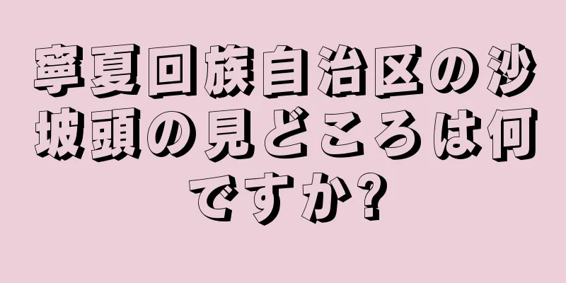 寧夏回族自治区の沙坡頭の見どころは何ですか?