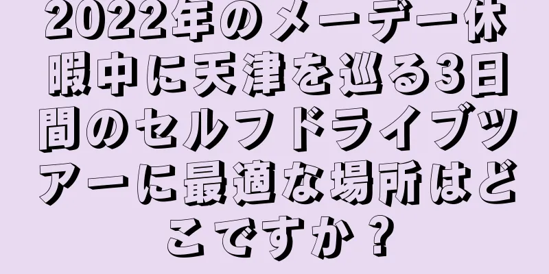2022年のメーデー休暇中に天津を巡る3日間のセルフドライブツアーに最適な場所はどこですか？