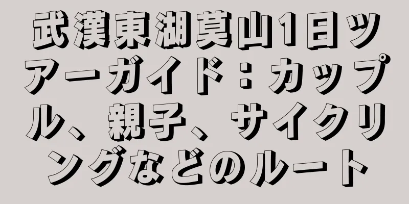 武漢東湖莫山1日ツアーガイド：カップル、親子、サイクリングなどのルート