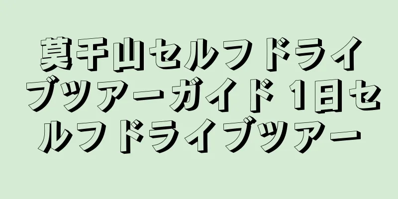 莫干山セルフドライブツアーガイド 1日セルフドライブツアー
