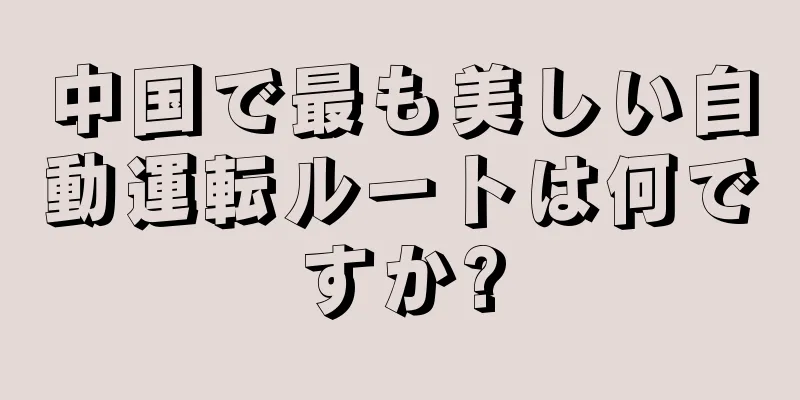 中国で最も美しい自動運転ルートは何ですか?