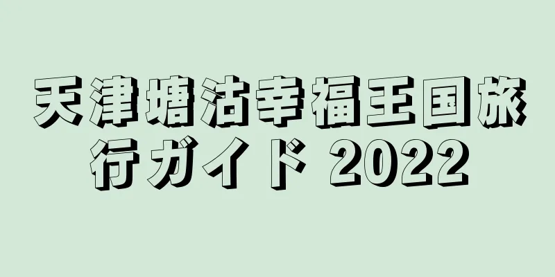 天津塘沽幸福王国旅行ガイド 2022