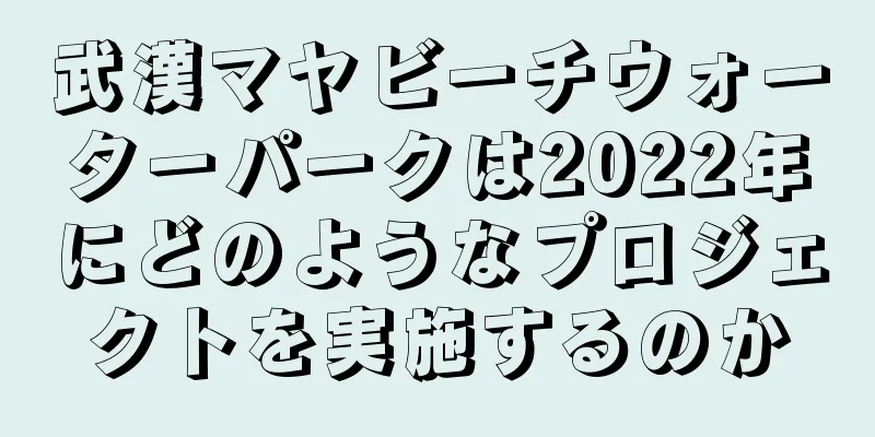 武漢マヤビーチウォーターパークは2022年にどのようなプロジェクトを実施するのか