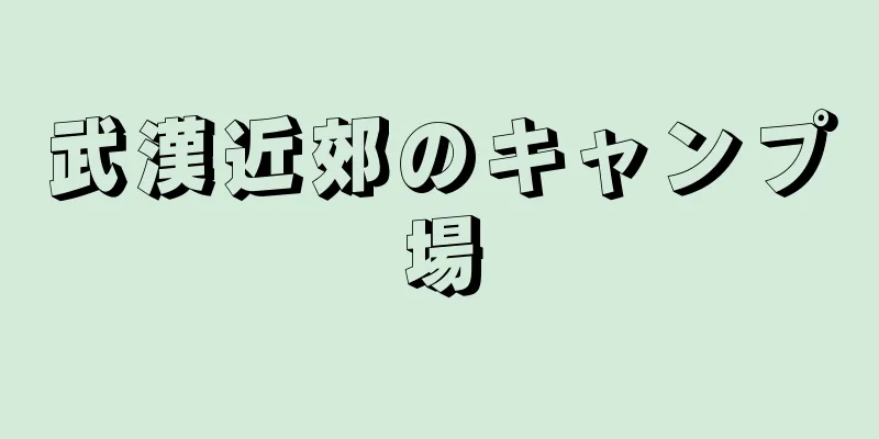 武漢近郊のキャンプ場
